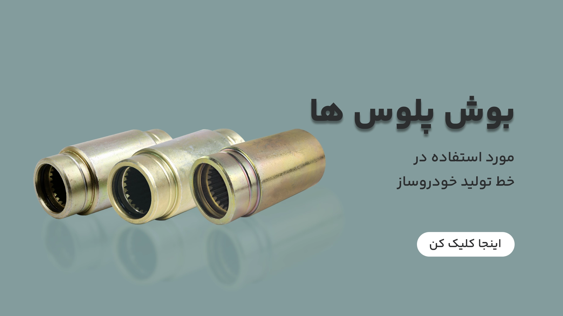 بوش پلوس